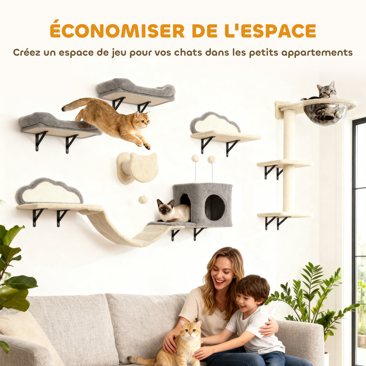 Étagères murales pour chat ensemble de meubles muraux 6 pièces hamac à bulles en acrylique niche hamac échelle beige