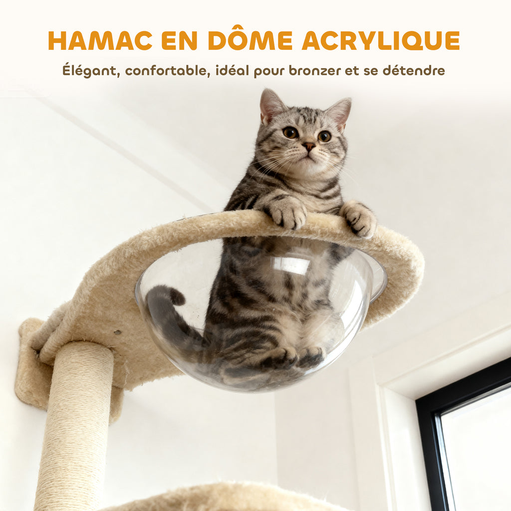 Étagères murales pour chat ensemble de meubles muraux 6 pièces hamac à bulles en acrylique niche hamac échelle beige