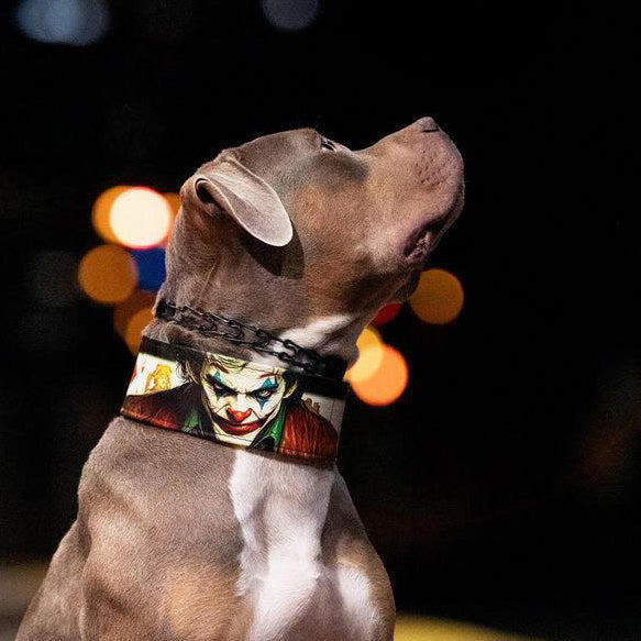 The JK Limited Collar