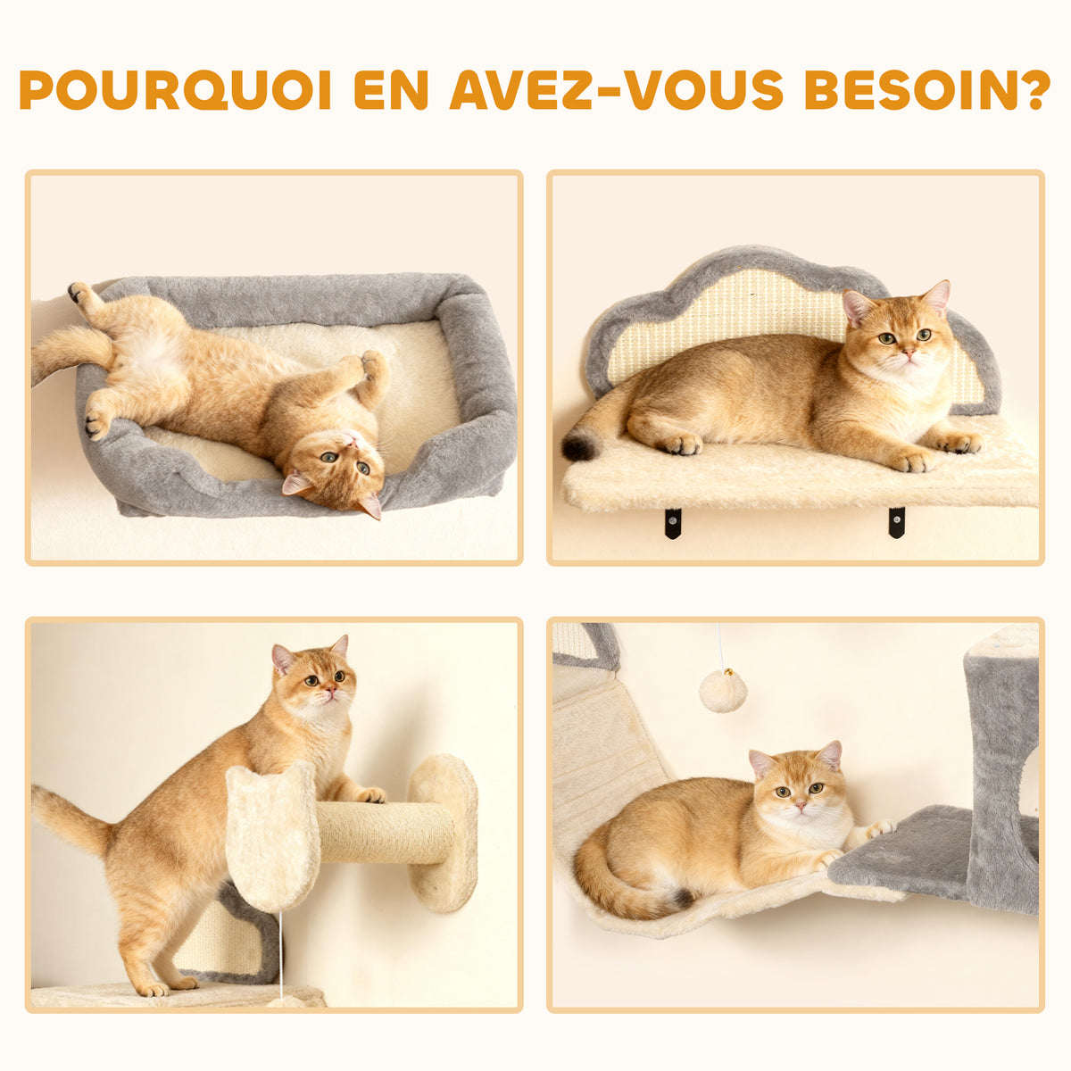 Étagères murales pour chat ensemble de meubles muraux 6 pièces hamac à bulles en acrylique niche hamac échelle beige